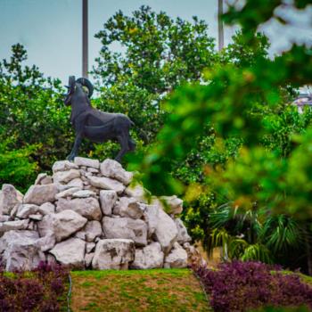 CAMPUS TAMPICO